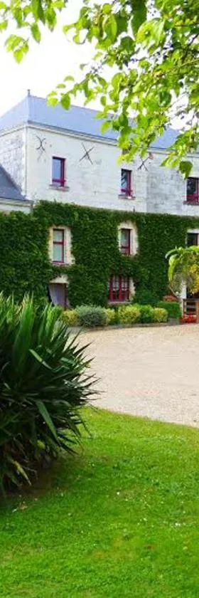 高堡磨坊旅馆，位于Saint-Mélaine-sur-Aubance的酒店