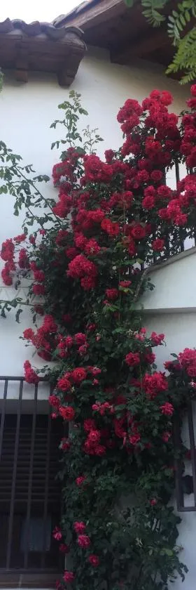Casa Rural - Al Alba，位于Lanzahita的酒店