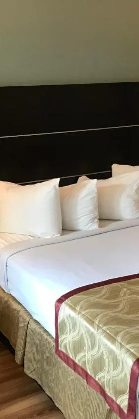 Olive Tree Inn & Suites，位于圣路易斯-奥比斯保的酒店
