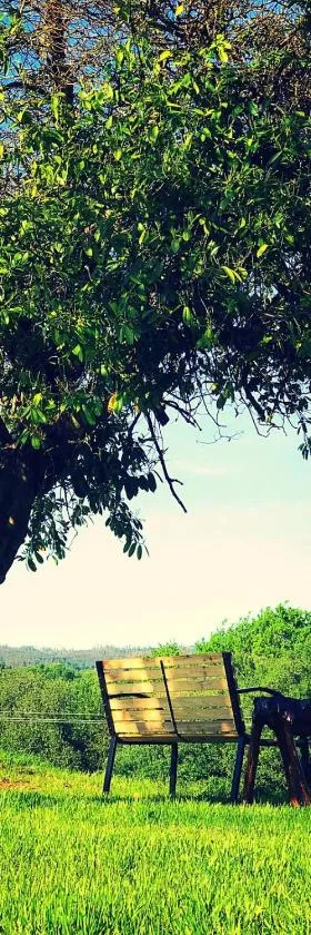Campamento Turístico Brandoñas，位于Brandoñas的酒店
