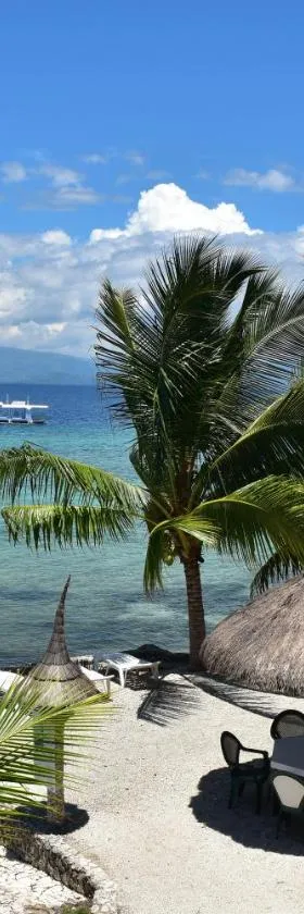 莫阿尔博阿尔海豚之家度假酒店，位于莫阿尔博阿的酒店