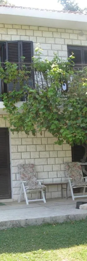 Vila Ruža，位于斯顿的酒店