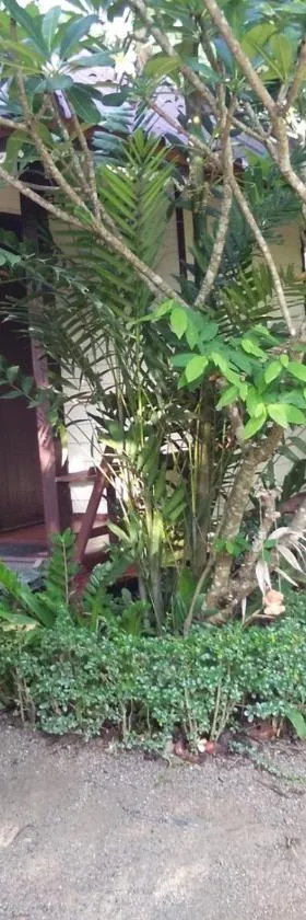 Baan I Mhok Suanphueng，位于苏安庞的酒店