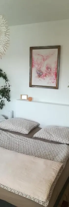 Penzion Flóra，位于扎泰茨的酒店