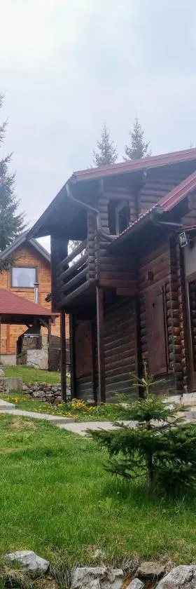 Brvnare Krstigora，位于Zaovine的酒店