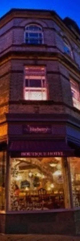 The Blueberry Hotel，位于庞特普里德的酒店