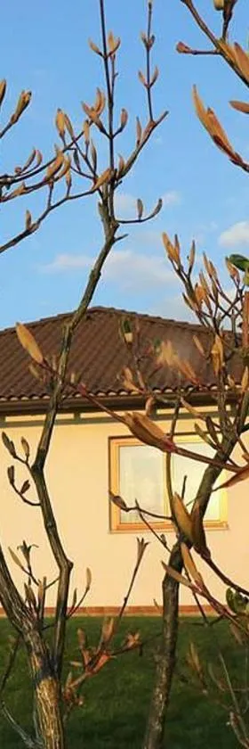 Řikovice Prázdninový dům，位于Morašice的酒店