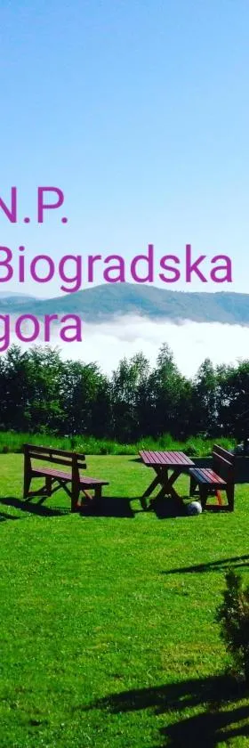 Ethno village & resort Ćorić，位于莫伊科瓦茨的酒店