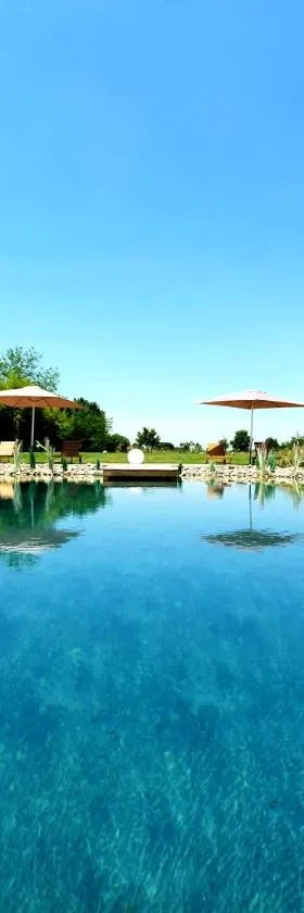 格朗热德朱尔住宿加早餐旅馆，位于Lafitte-Vigordanne的酒店