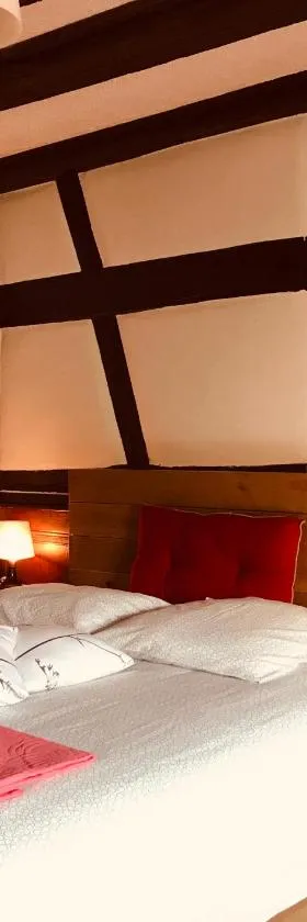 AUX DEUX CIGOGNES AMMERSCHWIHR，位于阿梅尔斯克维的酒店