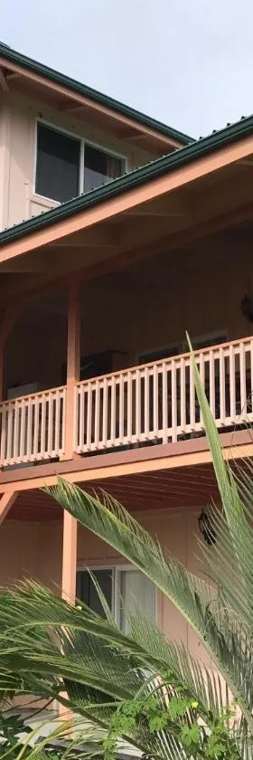 Coconut Palms Vacation Rental near lava fields and beaches，位于Kehena的酒店