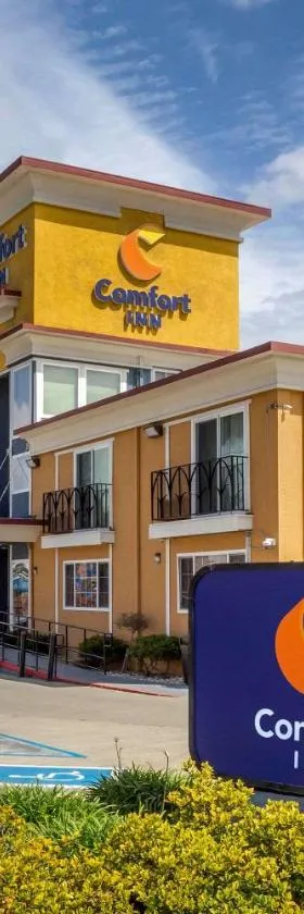 卡斯特罗谷康福特茵酒店，位于卡斯特罗谷的酒店