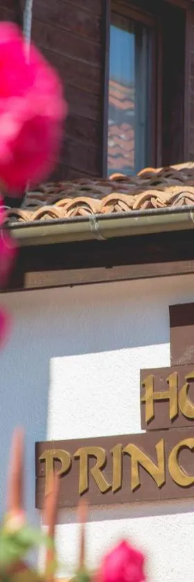 西里尔王子酒店，位于内塞伯尔的酒店