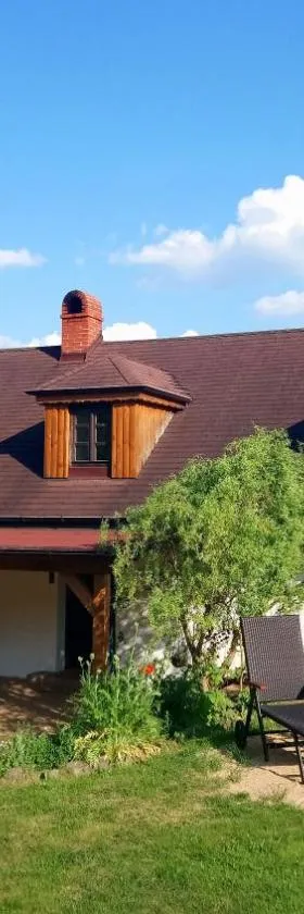 Forest Rustic Apartment Brdy，位于Buková的酒店