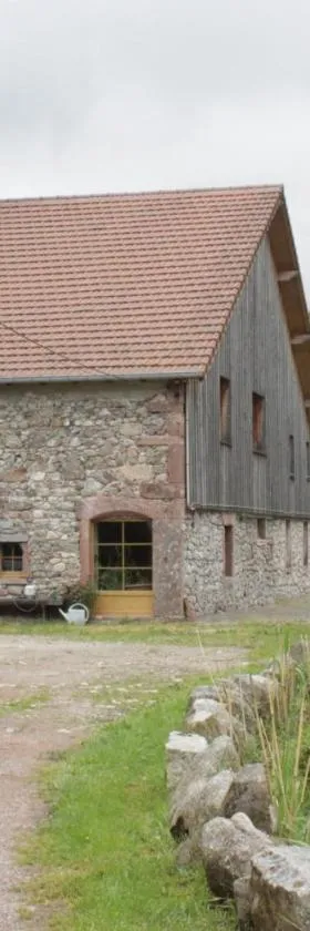 Gites typiques au coeur des Hautes Vosges，位于Saulxures-sur-Moselotte的酒店