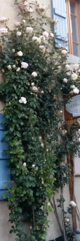 Le Pèlerin，位于蒙塞居尔的酒店