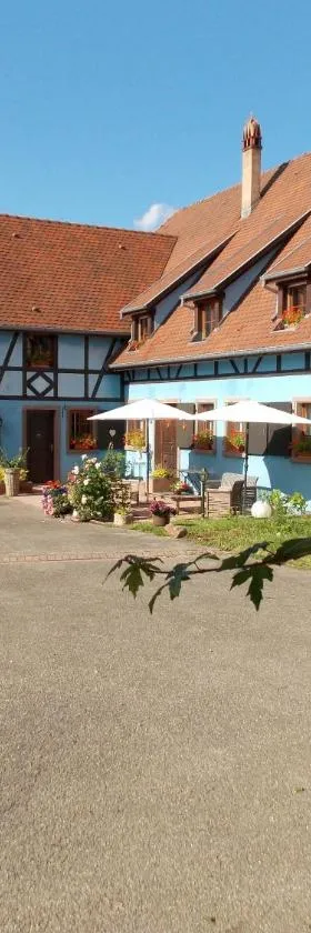 Le Gîte bleu，位于Willgottheim的酒店