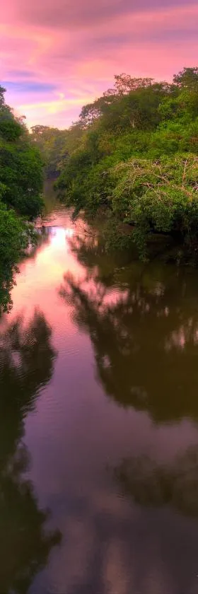 La Selva Biological Station，位于萨拉皮基的酒店