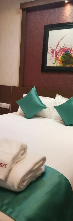 Square Suite，位于门格洛尔的酒店