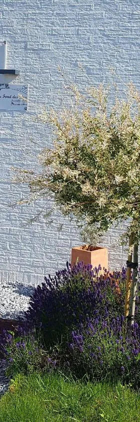 Au Fond des Rys，位于Grez-Doiceau的酒店