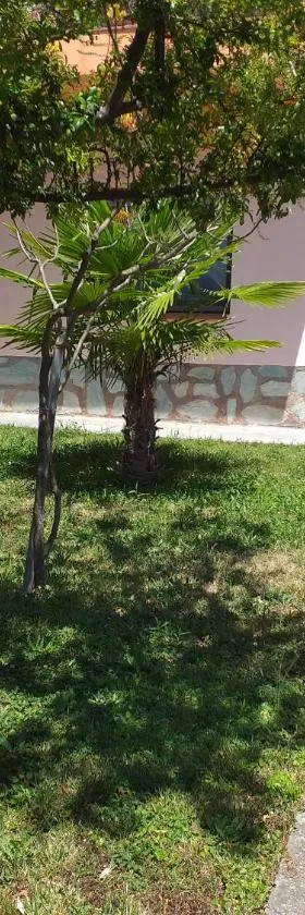 CASA el NOGAL，位于Salas Bajas的酒店