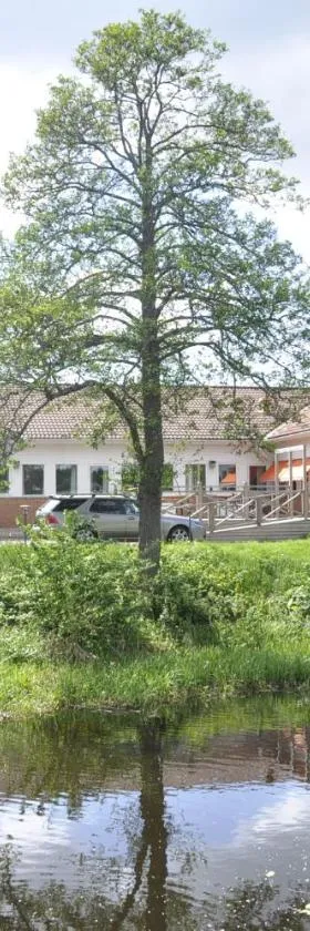 Spångholmen Bed & Breakfast AB，位于米约尔比的酒店
