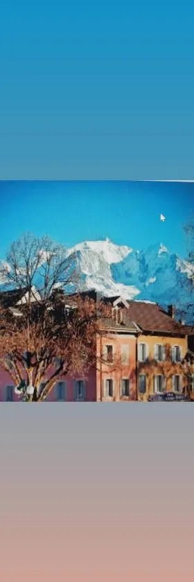 Studio Duplex Place de la Grenette，位于萨莱切的酒店