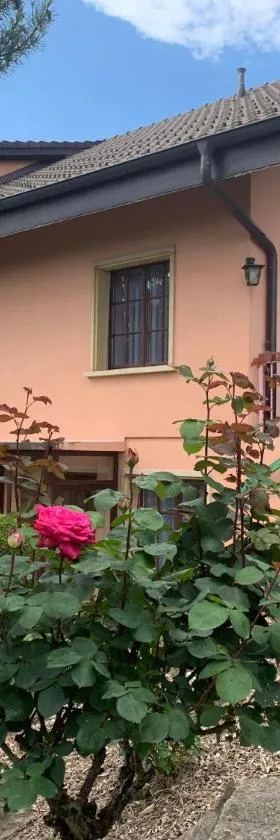 Motel des fleurs，位于瑟温的酒店