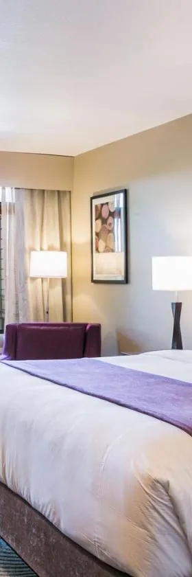 Hotel Siri Downtown - Paso Robles，位于佩索罗伯斯的酒店