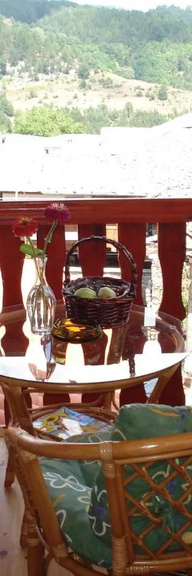 Sharkov Guest House，位于Dolen的酒店