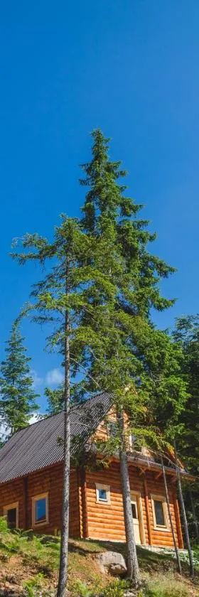 JELA NATURAL RESORT，位于Rožaje的酒店