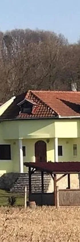 Holiday Home Rodjak sa sela，位于Mionica的酒店