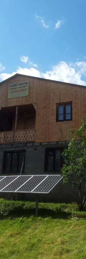 Guesthouse Elisabeth，位于Omalo的酒店