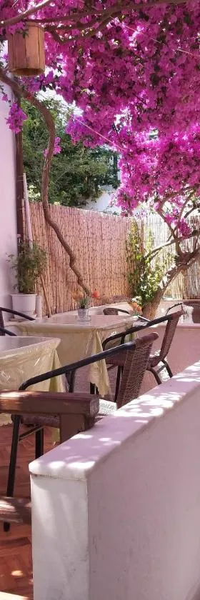 Syrianos Hotel，位于纳克索乔拉的酒店