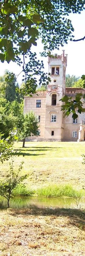 Pałac Dąbrowica，位于Dąbrowica的酒店