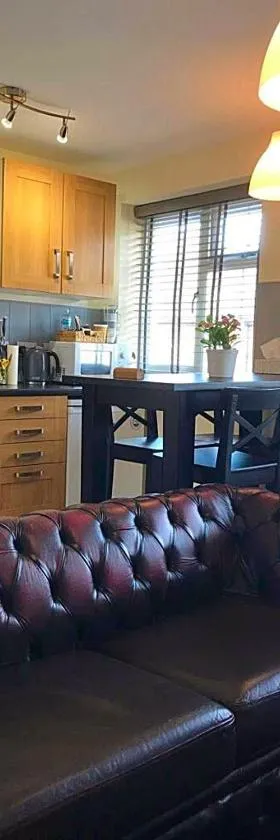 Coleman Apartment，位于伍尔弗汉普顿的酒店