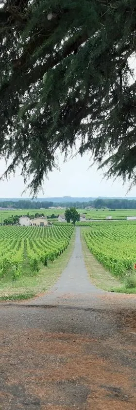 A L'OMBRE DE LA TREILLE -Proche Saint-Emilion，位于Saint-Magne-de-Castillon的酒店