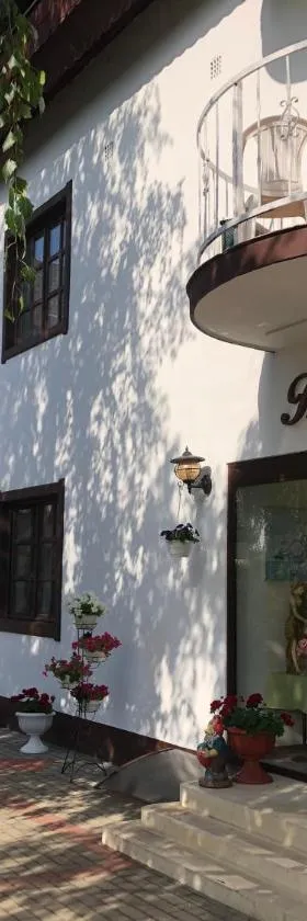 Karikas Hotel，位于豪伊杜索博斯洛的酒店