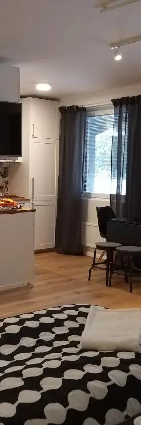 Studiohuoneisto Lohjan keskusta 2，位于Lohja的酒店