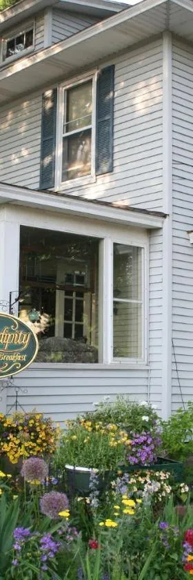 Serendipity Bed and Breakfast，位于索格塔克的酒店