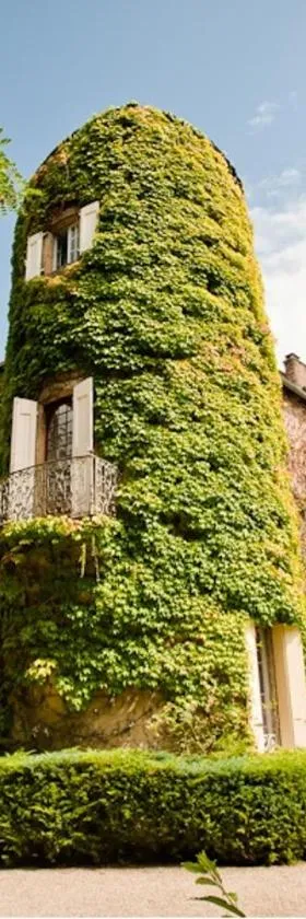 Chateau d'Ayres - Hôtel & Spa，位于梅吕埃的酒店