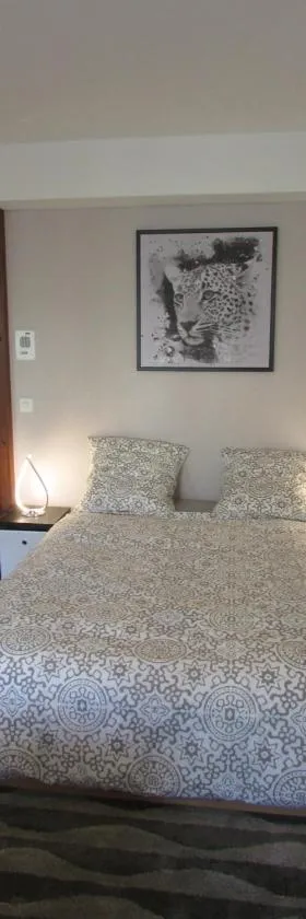 Studio à Sion，位于锡永的酒店