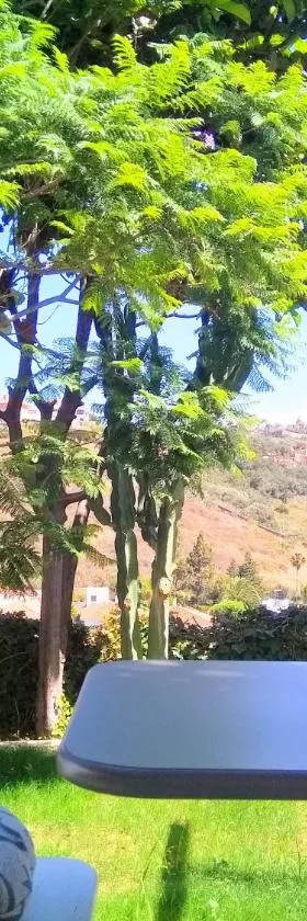 APARTAMENTO LEMMON TREE，位于圣布里希达的酒店