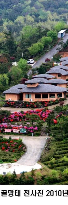 Golmangtae Pension，位于宝城郡的酒店