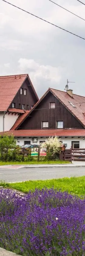 hotel U lip Trojanovice，位于弗雷斯塔帕若德霍斯特的酒店