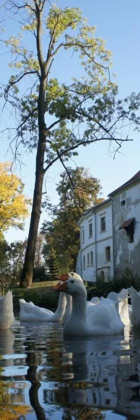Piotrowice Nyskie Palace，位于奥特穆胡夫的酒店