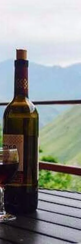 MetiTsa，位于居塔的酒店