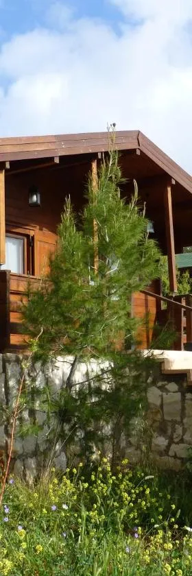 Mountain Breeze Lodge & Resort，位于艾沙尔特的酒店