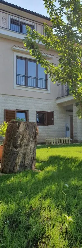 Studio Apartman Marti，位于科斯特雷纳的酒店