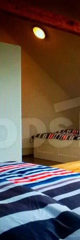 chata pod Slunečnou，位于Dětřichov nad Bystřicí的酒店